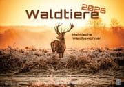 Waldtiere - Heimische Waldbewohner - Der Tierkalender - 2026 - Kalender DIN A2