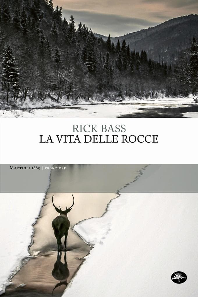La vita delle rocce