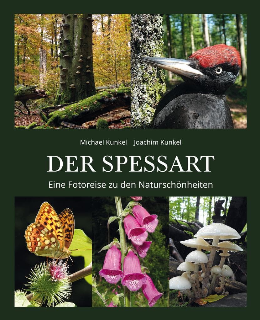 Faszination Naturwälder im Spessart