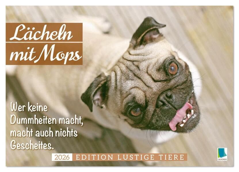 Lächeln mit Mops (Wandkalender 2026 DIN A3 quer), CALVENDO Monatskalender