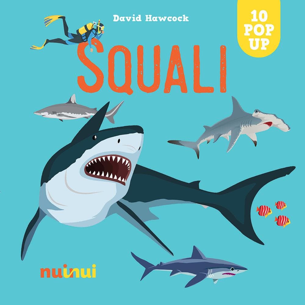 Squali. Sorprendenti pop up