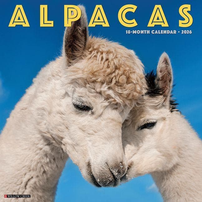 Alpacas 2026 12 X 12 Wall Calendar