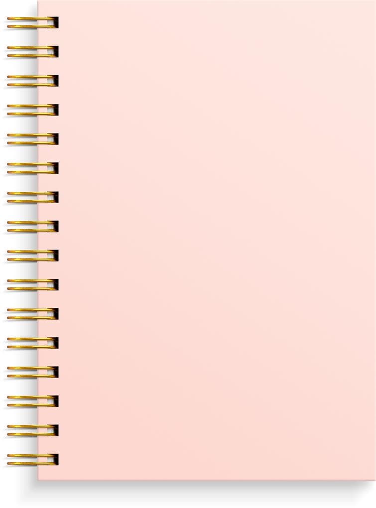 Burde Notizbuch A5 pink: Spiral-Notizbuch