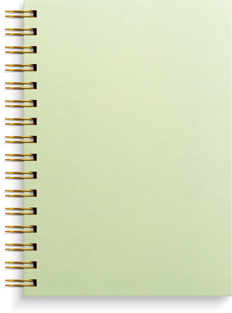 Burde Notizbuch A5 grün: Spiral-Notizbuch