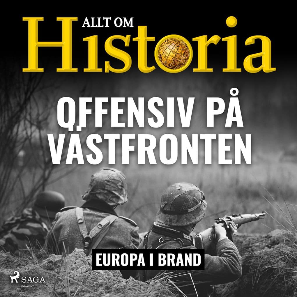 Offensiv på Västfronten