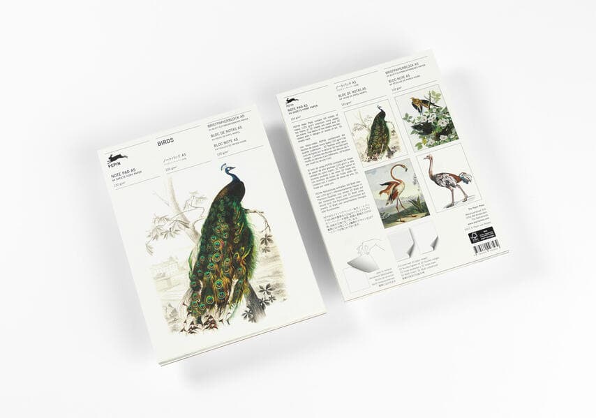Birds