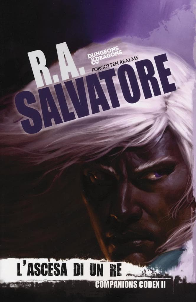 La leggenda di Drizzt 29