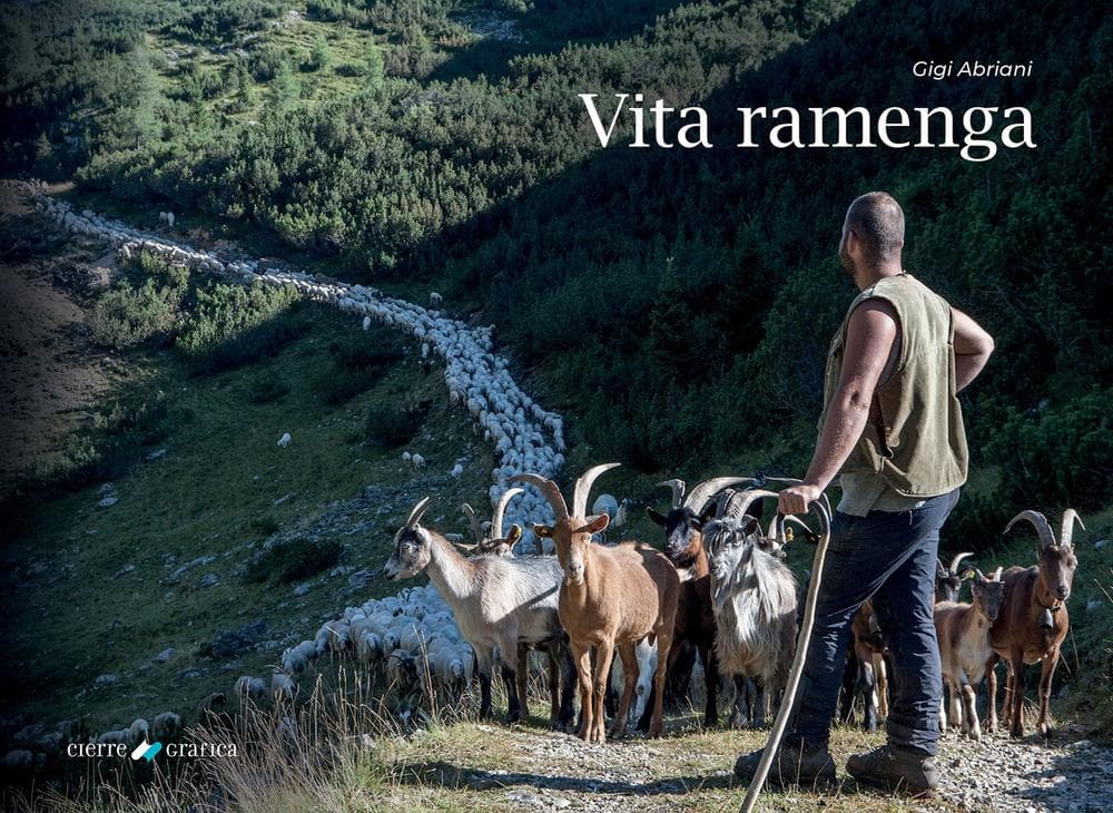 Vita ramenga