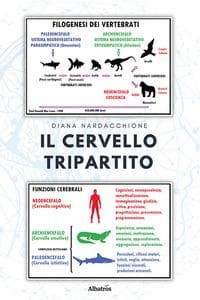 Il cervello tripartito