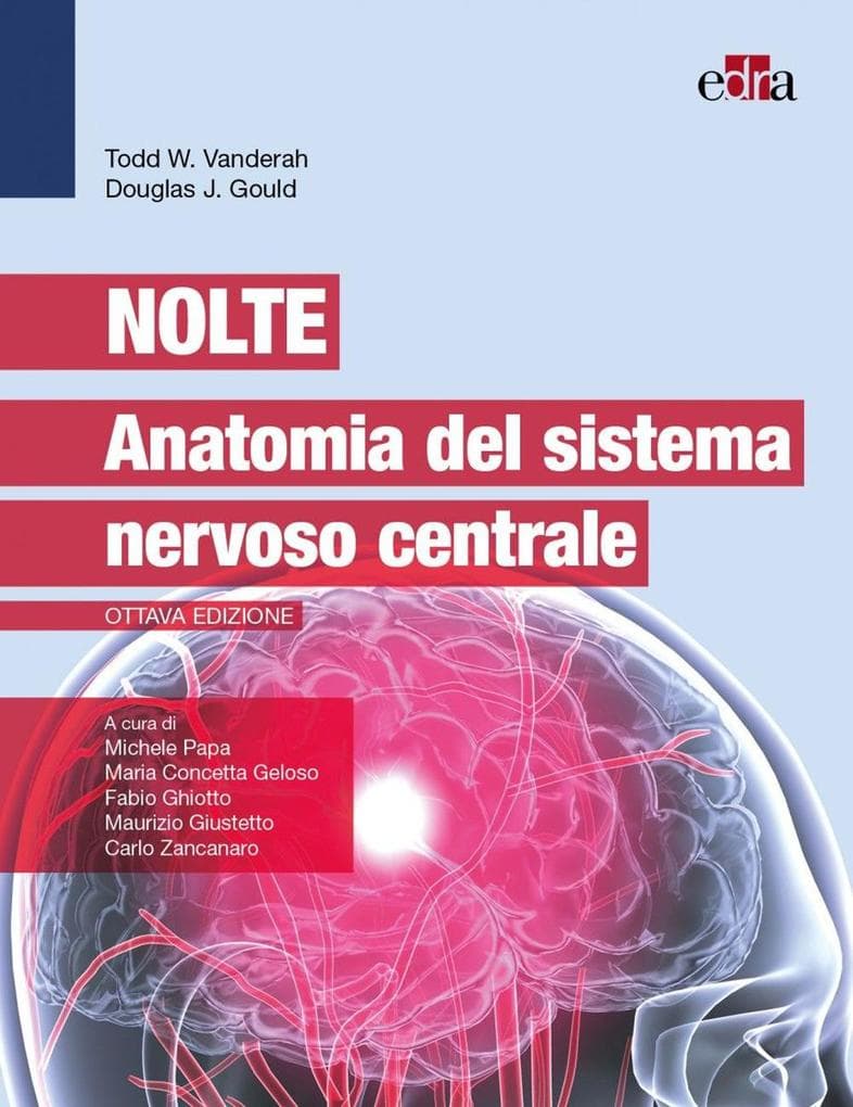 Nolte. Anatomia del sistema nervoso centrale