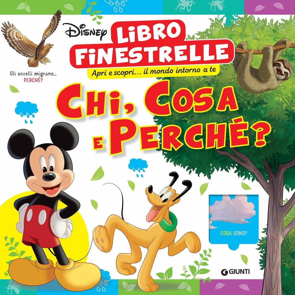 Chi, cosa e perché? Disney. Libro finestrelle
