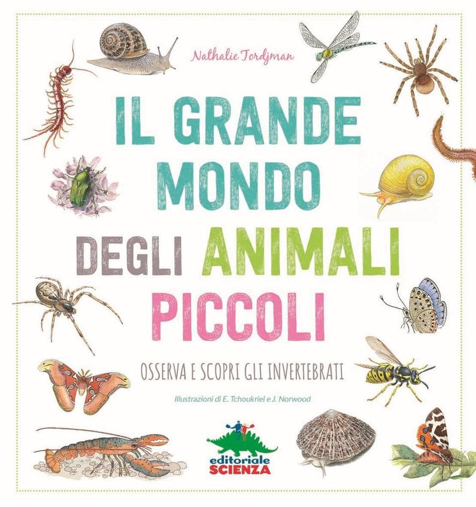Il grande mondo degli animali piccoli. Osserva e scopri gli invertebrati