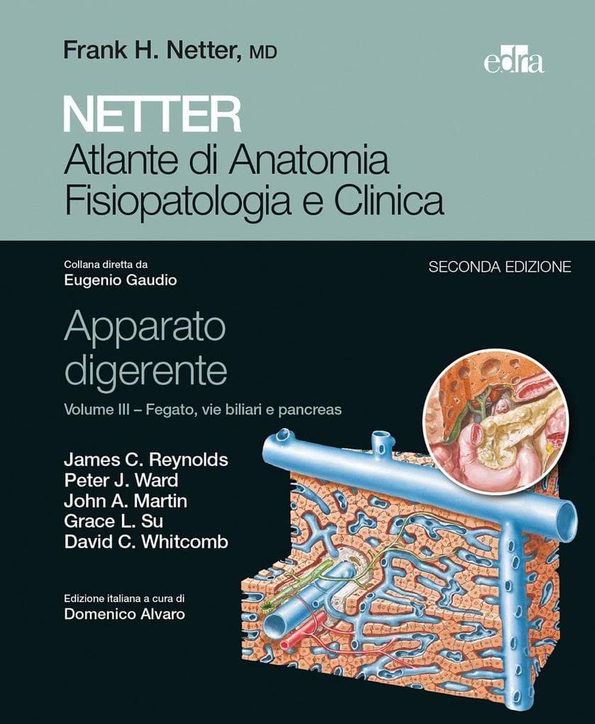Fegato, vie biliari e pancreas