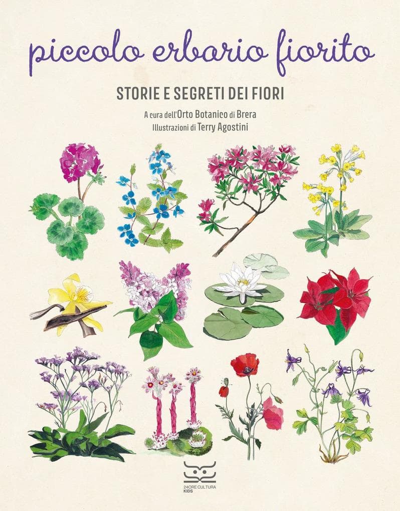 Piccolo erbario fiorito