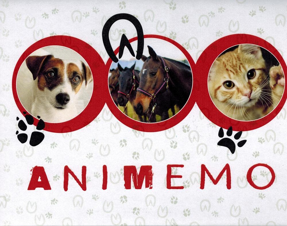 Animemo