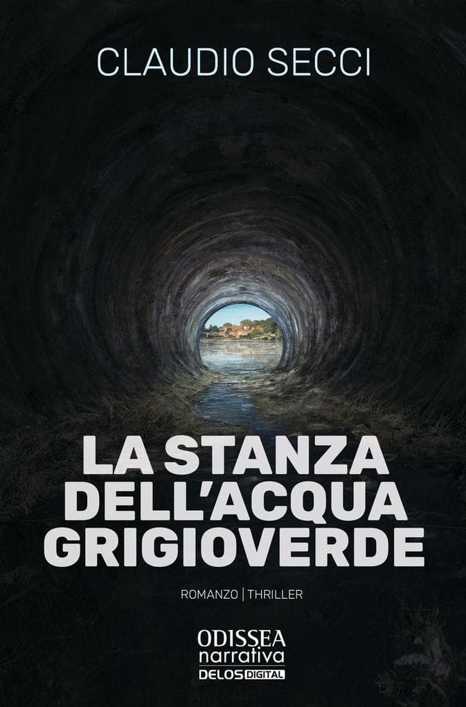 La stanza dell'acqua grigioverde