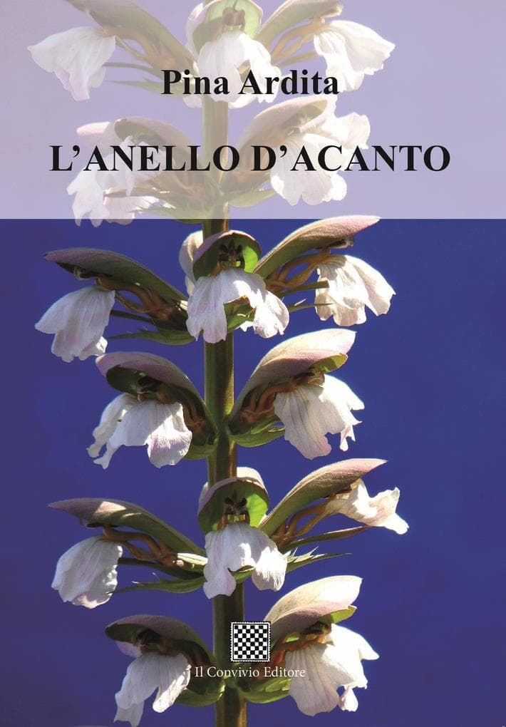 L' anello d'acanto