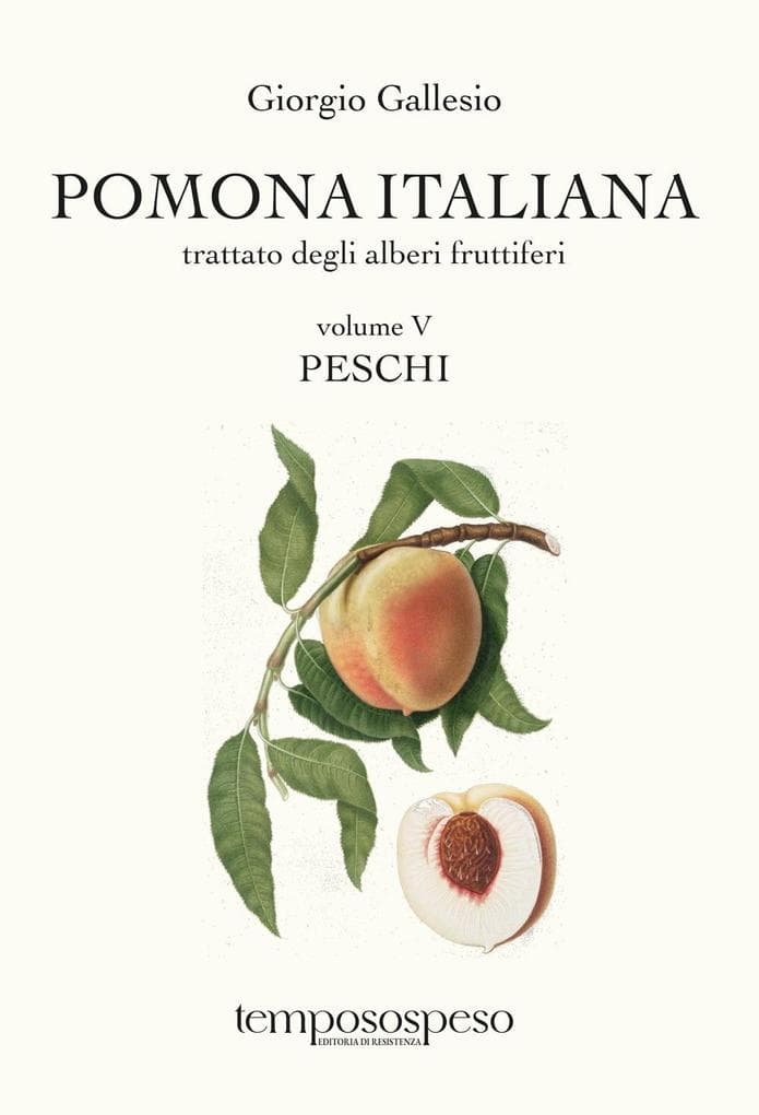 Peschi