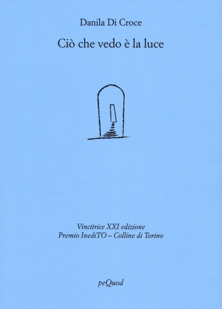 Ciò che vedo è la luce