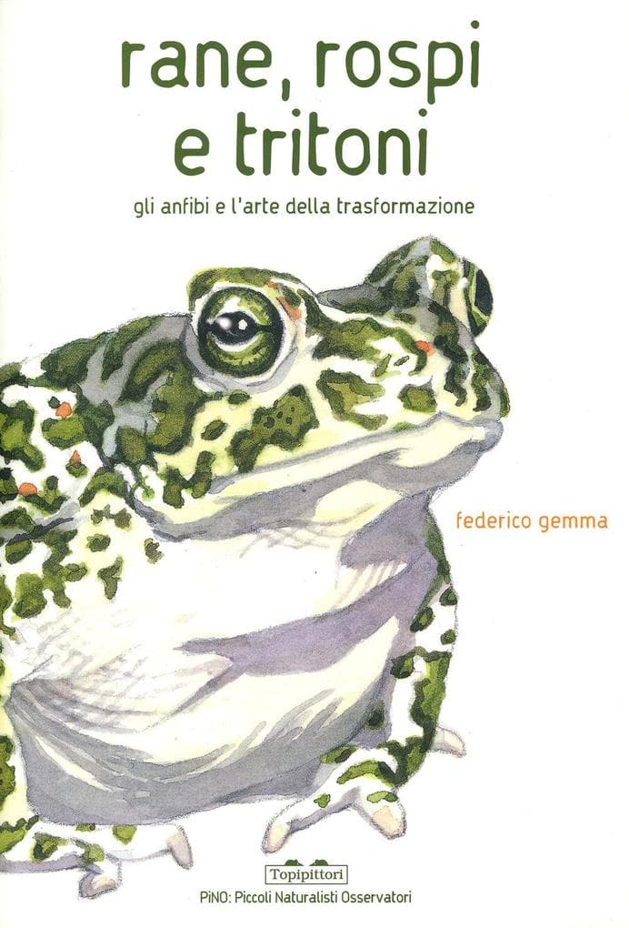 Rane, rospi e tritoni. Gli anfibi e l'arte della trasformazione
