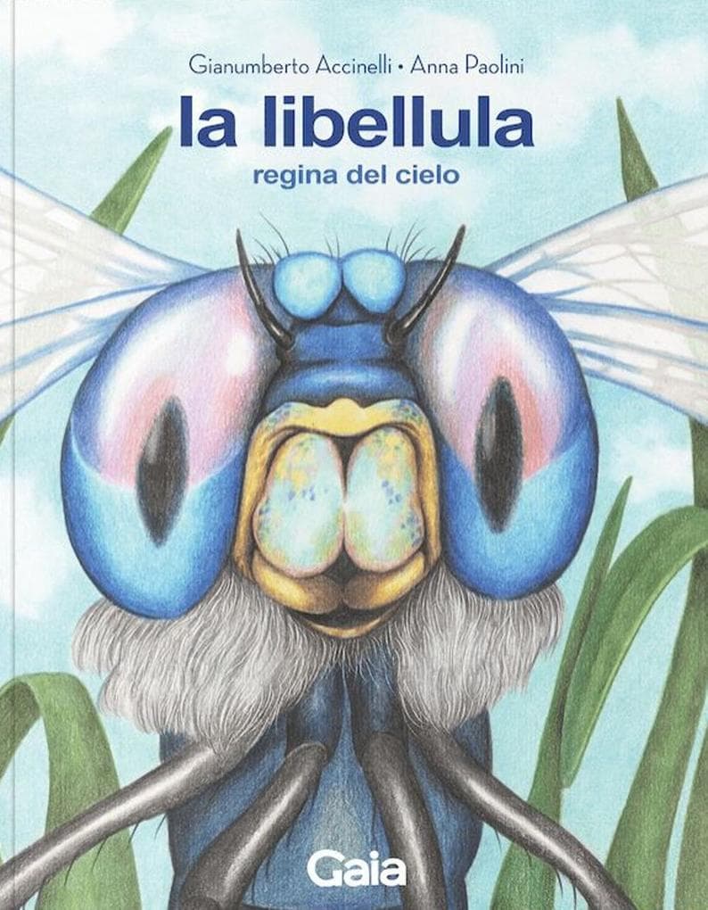 La libellula. Regina del cielo