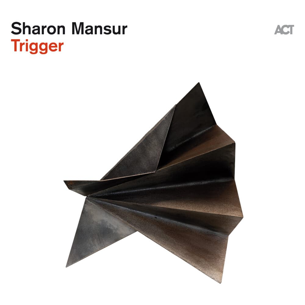 Trigger, 1 Schallplatte (180g Black Vinyl)