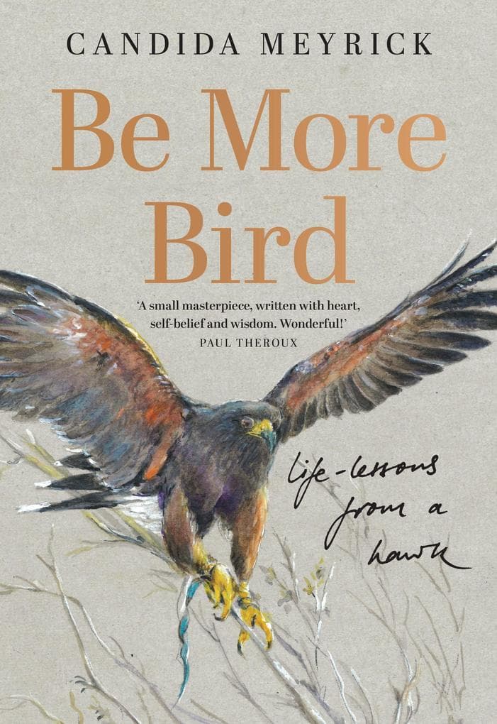 Be More Bird