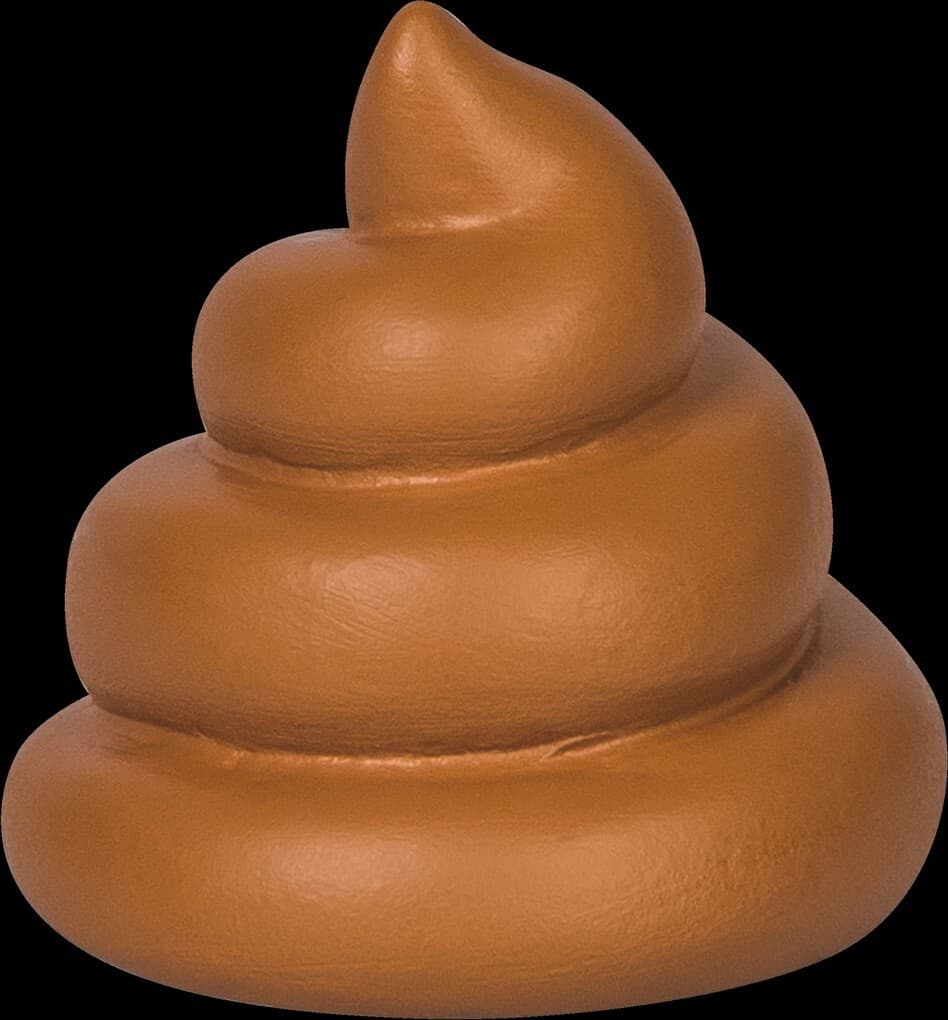 BRUNNEN Radiergummi Hunde Poop