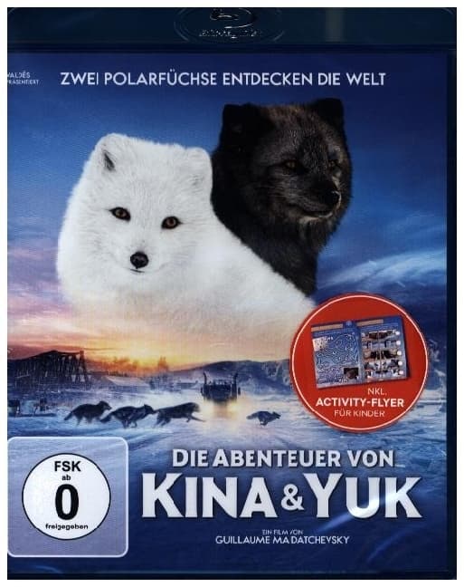 Die Abenteuer von Kina & Yuk - Zwei Polarfüchse entdecken die Welt