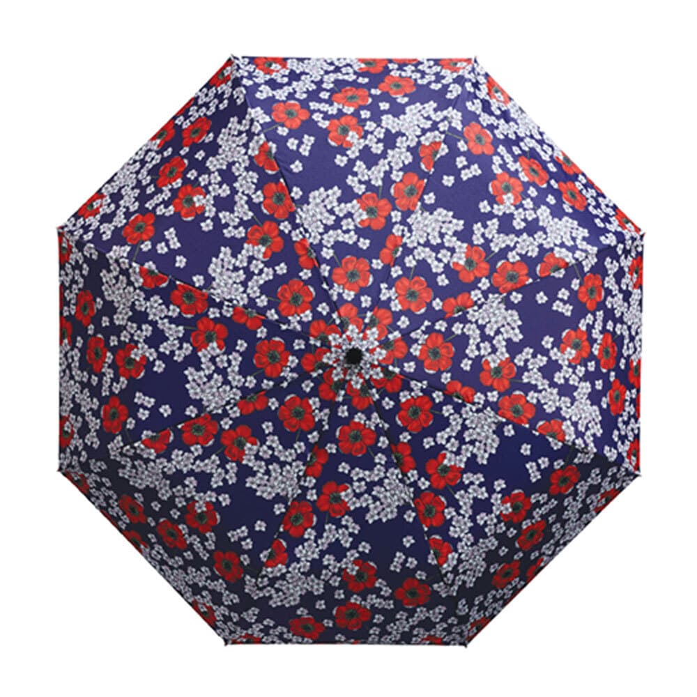 Easy Umbrella Anemone