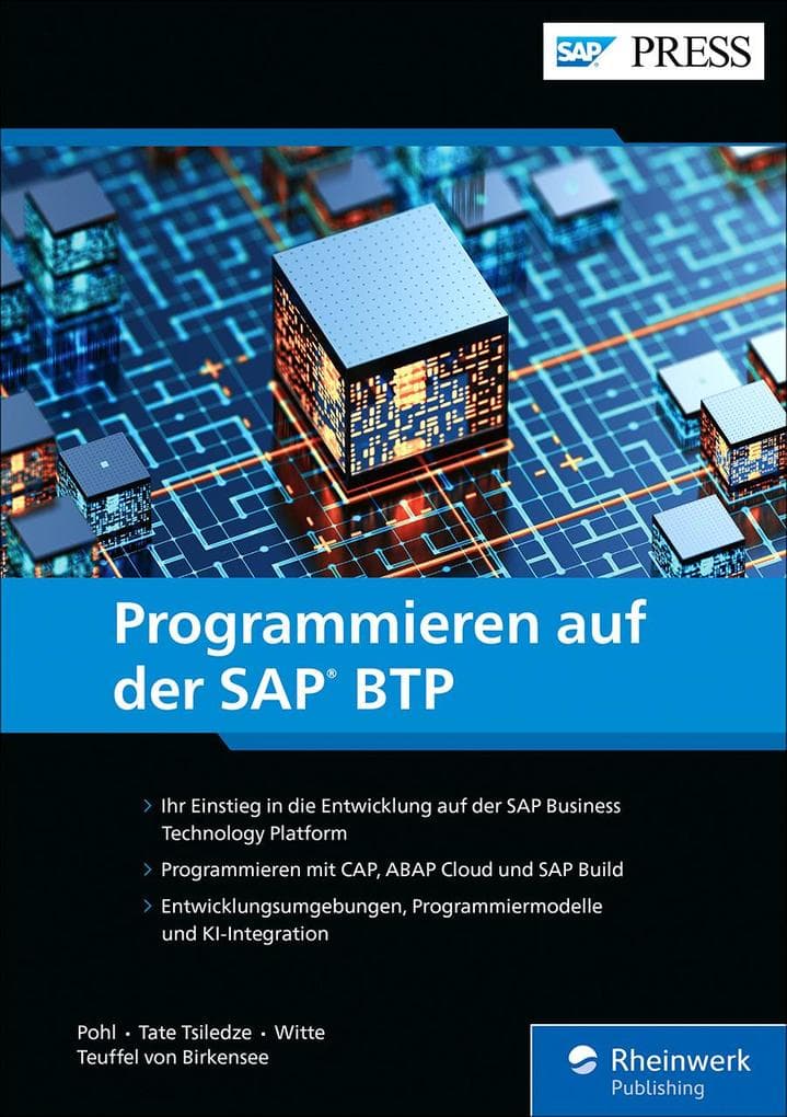 Programmieren auf der SAP BTP