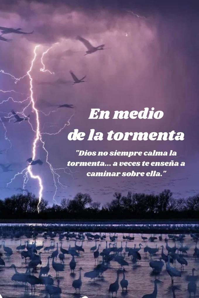 En medio de la tormenta