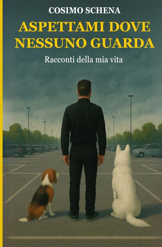 Aspettami dove nessuno guarda