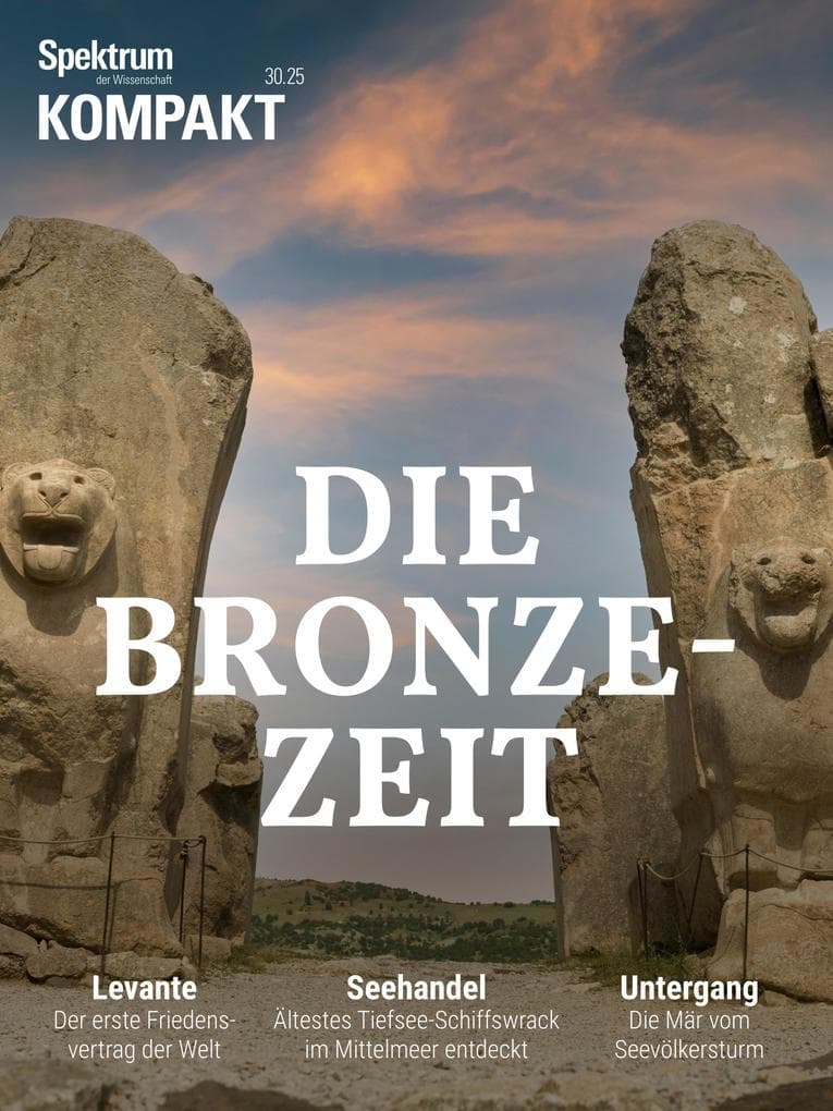 Spektrum Kompakt - Bronzezeit