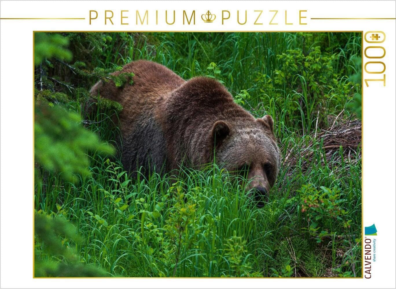 CALVENDO Puzzle Bär im Grünen | 1000 Teile Lege-Größe 64x48cm Foto-Puzzle für glückliche Stunden