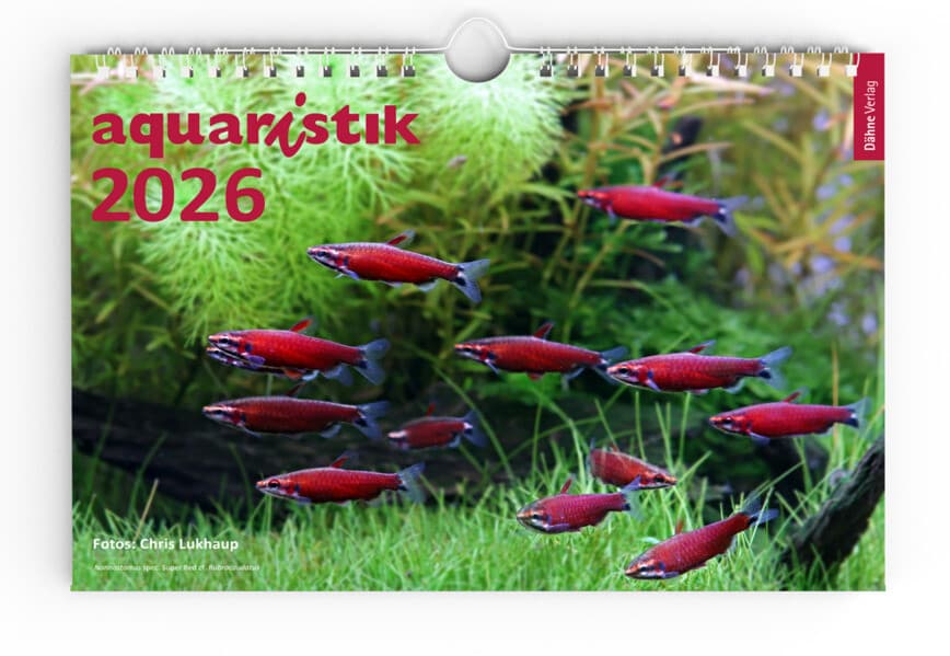 aquaristik 2026