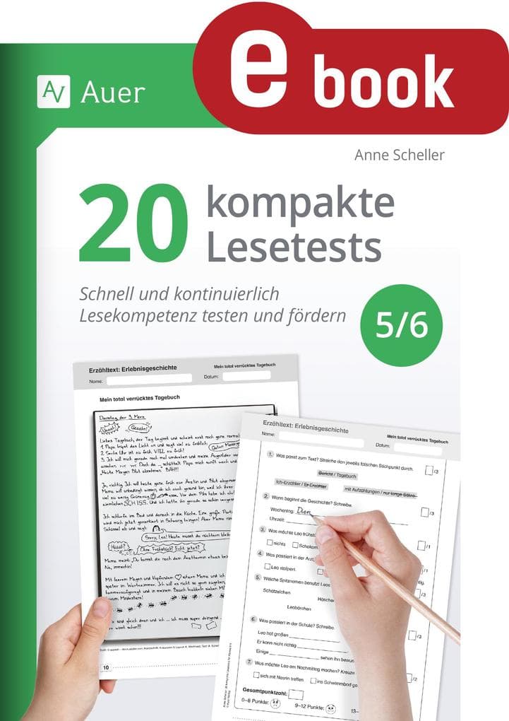 20 kompakte Lesetests für Klasse 5-6
