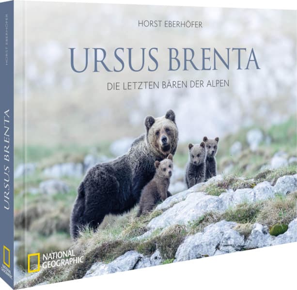 Ursus Brenta - Die Rückkehr der Bären in die Alpen
