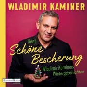 Schöne Bescherung Wladimir Kaminers Wintergeschichten
