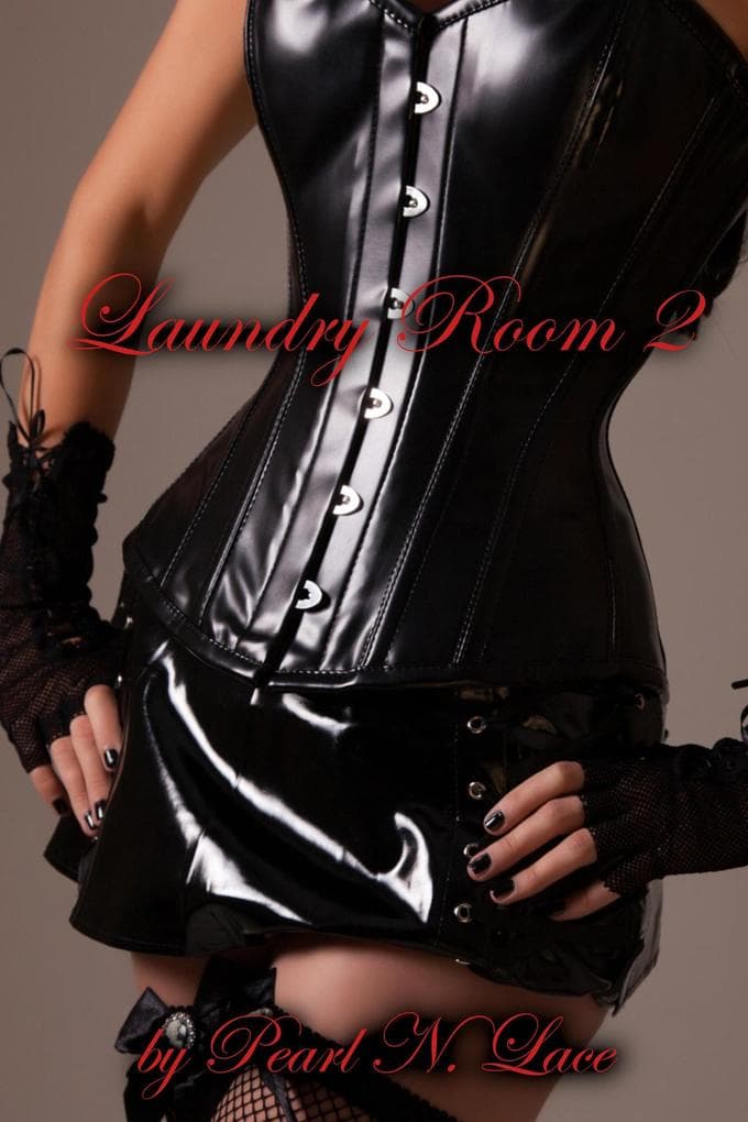 Laundry Room 2 (Sissy stories, #55)