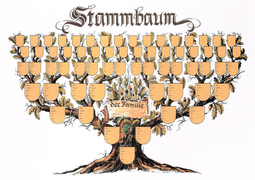 Stammbaum Schmuckbild
