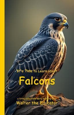 It's Time to Learn about Falcons