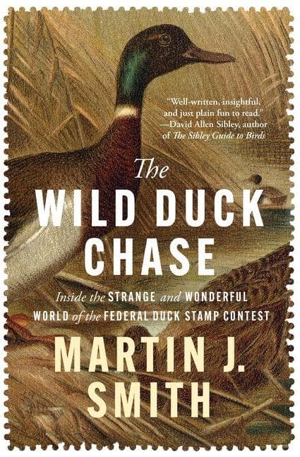 The Wild Duck Chase
