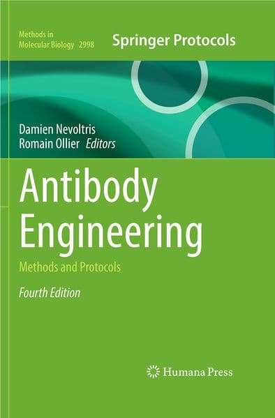 Antibody Engineering