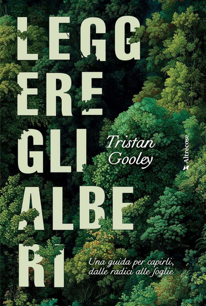 Leggere gli alberi