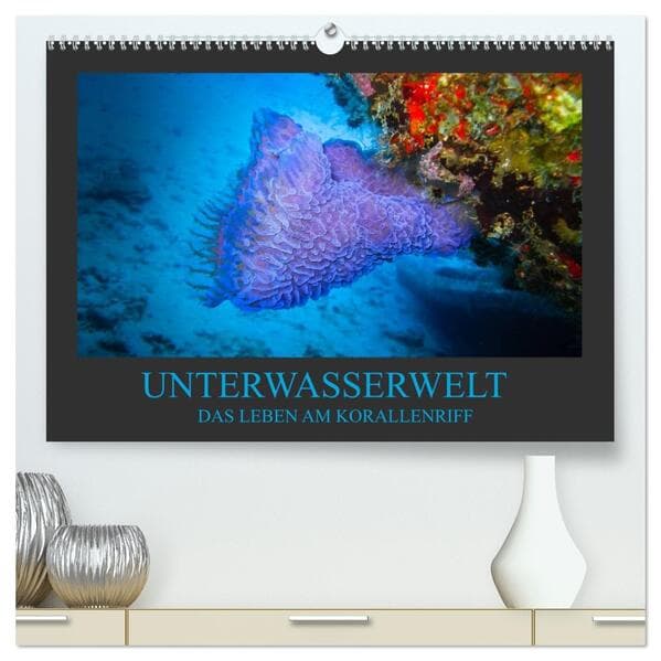 Unterwasserwelt - Das Leben am Korallenriff (hochwertiger Premium Wandkalender 2026 DIN A2 quer), Ku