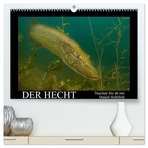 Der Hecht - Tauchen Sie ab mit Daniel Hohlfeld (hochwertiger Premium Wandkalender 2026 DIN A2 quer),