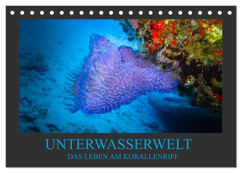 Unterwasserwelt - Das Leben am Korallenriff (Tischkalender 2026 DIN A5 quer), CALVENDO Monatskalende