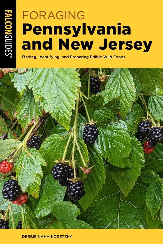 Foraging Pennsylvania and New Jersey