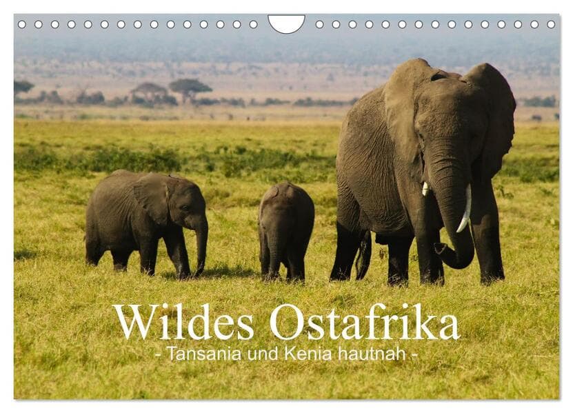 Wildes Ostafrika - Tansania und Kenia hautnah (Wandkalender 2026 DIN A4 quer), CALVENDO Monatskalend